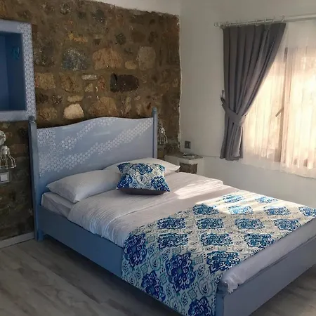 Eleni فندق مبيت وإفطار سفيريهيسار